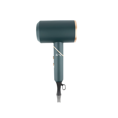 Negative Ion Electric Hair Dryer